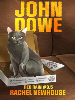 cover image of John Dowe